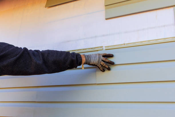 Best Vinyl Siding Installation  in Ridgetop, TN